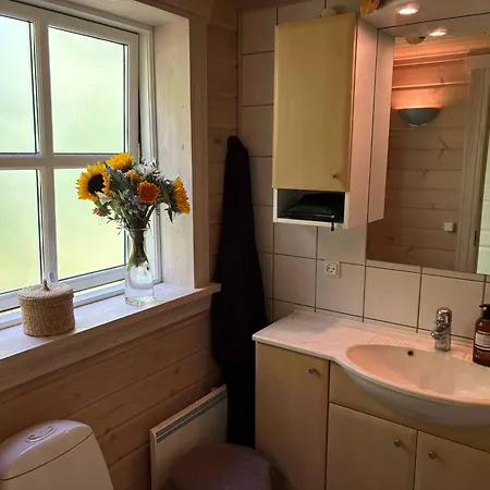 Ferienhaus Traditionelles Blockhaus Nahe Und Wald
