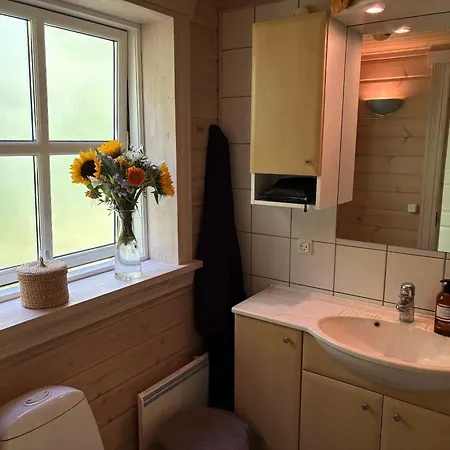 Traditionelles Blockhaus Nahe Und Wald Rørvig